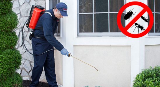 Turgutlu Bit İlaçlama böcek ilaçlama ve haşere kontrolü — ilaclama-tr.com
